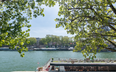 Gift idea: why not a dinner cruise on a riverboat from the Eiffel Tower?
