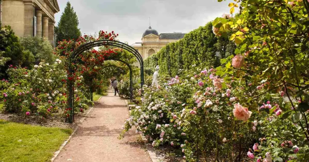 jardin des plantes
