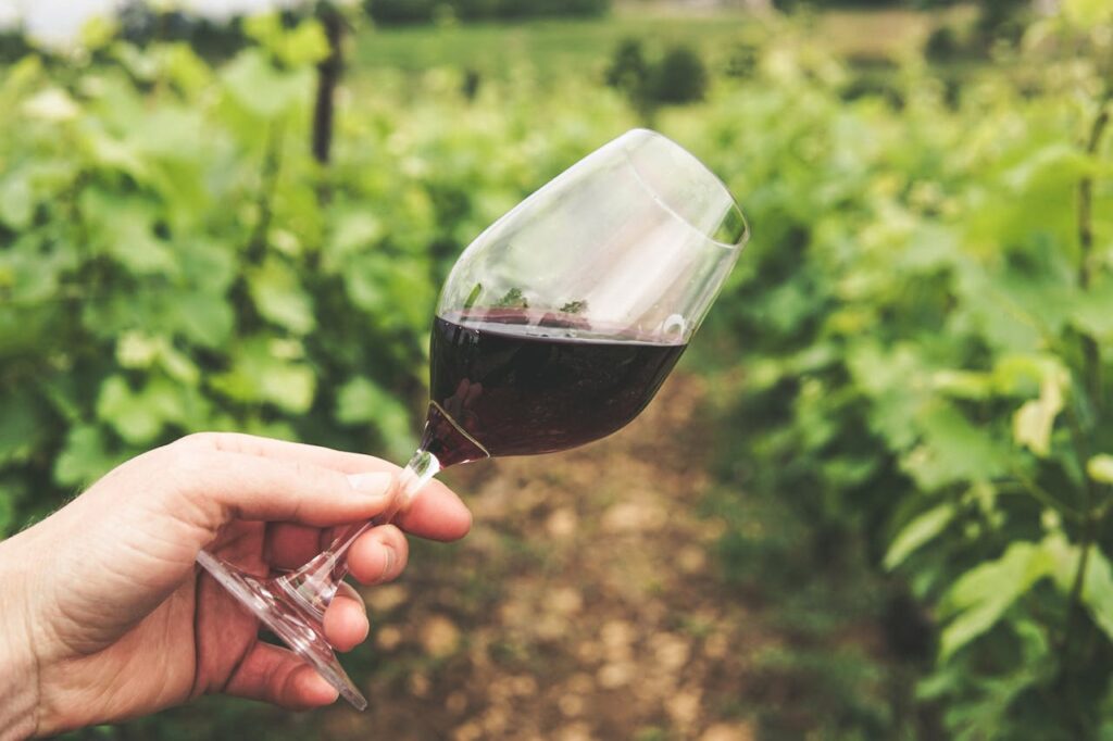 vin bourgogne